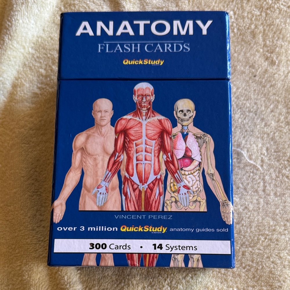 Box of Anatomy Flash Cards by Vincent Perez, part of the QuickStudy series.